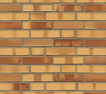 Muhr WF 01 Niederlausitzer Gelb spezial glatt